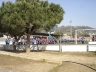 DSC00029.JPG