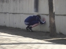 DSC00065.JPG