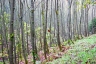 Bild-013.jpg