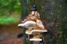 Bild-015.jpg