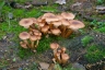 Bild-018.jpg
