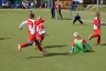 DSC00433.JPG